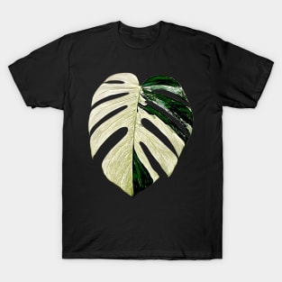 MONSTERA MINT VARIEGATED T-Shirt